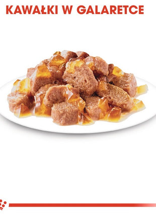 Royal Canin Sterilised w galaretce karma mokra dla kotów dorosłych, sterylizowanych saszetka 85g