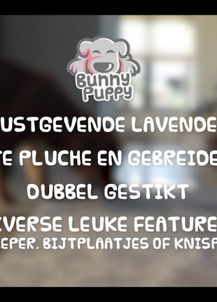 Bunny Puppy Flat Rabbit