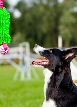 Dingo Zabawka dla psa - Szarpak Mop Bungee z piłką zielony