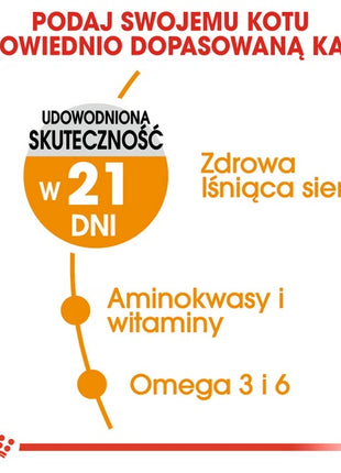 Royal Canin Hair&Skin Care karma sucha dla kotów dorosłych, lśniąca sierść i zdrowa skóra 2kg