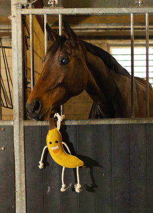 Excellent Horse Foodie Friends Banana