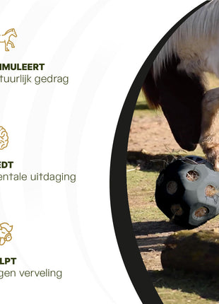 Excellent Horse Feed & Play Ball Zwart