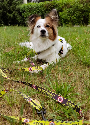 Dingo Smycz przepinana City - Nie Dotykaj 3x220cm