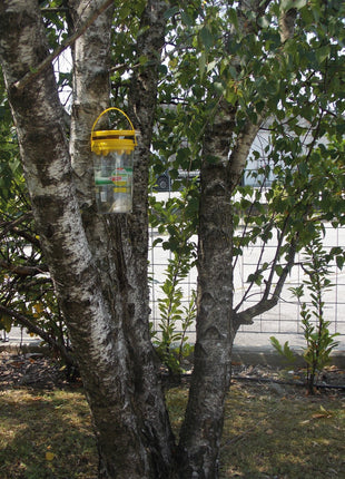 Flybuster Garden Trap