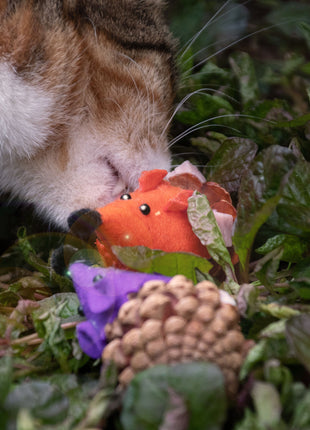 Forest Friends Mouse Oranje