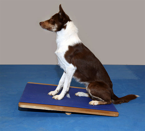 FitPaws Giant Rocker Board