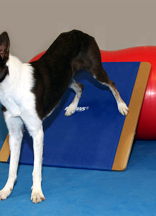 FitPaws Giant Rocker Board – afbeelding 3