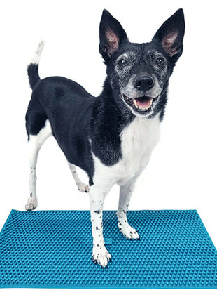 FitPaws K9 FitMat