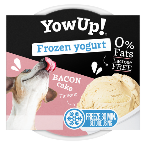 YowUp! Frozen Yoghurt Bacon Cake