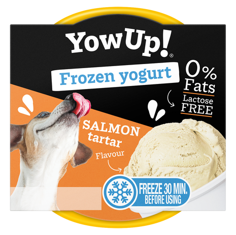YowUp! Frozen Yoghurt Salmon Tartar