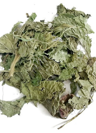 Wio-Mar Babka szerokolistna 100g