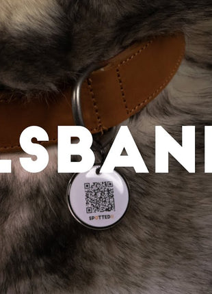 Spotted! Pro Leren Halsband - Grijs