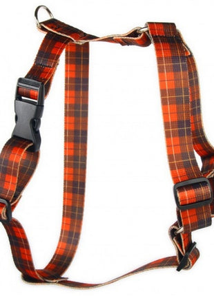 Matteo Szelki Guard 25mm szkocka krata