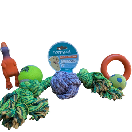 Fidello dog &amp; puppy toy set - The best gift for small dogs and puppies