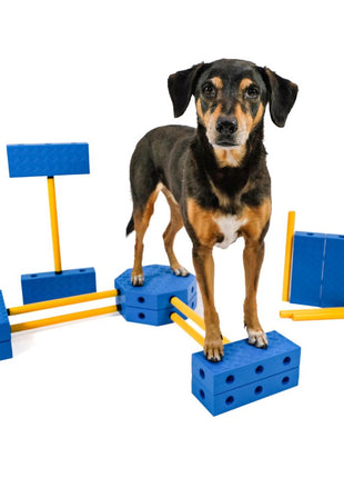 FitPaws FitKinect Xtra – afbeelding 2