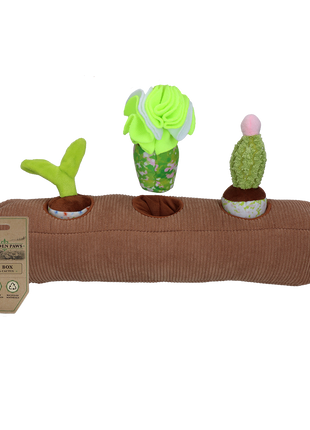 Garden Paws Snuffle Box Sprout, Crop & Cactus