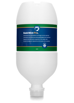 Excellent Gold Mint Pro Hangtube 2,5 l