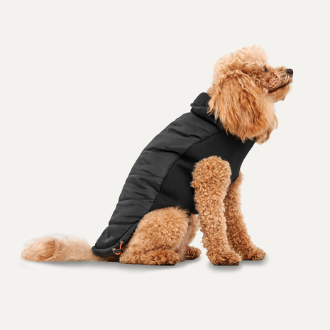 Goo-eez Mock Neck Signature Wrap Jacket Zwart