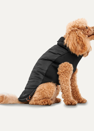 Goo-eez Mock Neck Signature Wrap Jacket Zwart