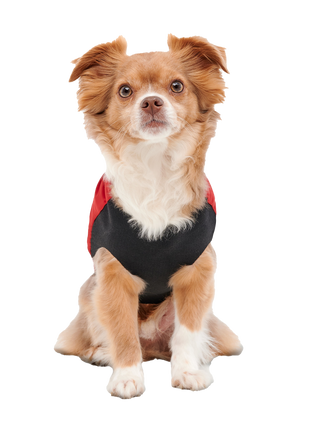 Goo-eez Mock Neck Signature Wrap Jacket Rood/Zwart