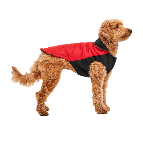 Goo-eez Mock Neck Signature Wrap Jacket Rood/Zwart