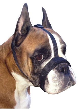 Grande Finale Kaganiec dla psa pekińczyk rozmiar 4 (22-30cm)