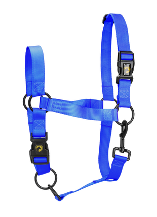 Excellent Essential Halster Blauw