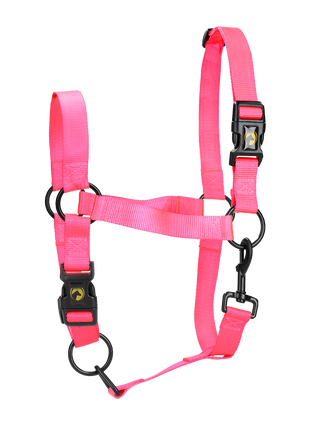 Excellent Essential Halster Roze S