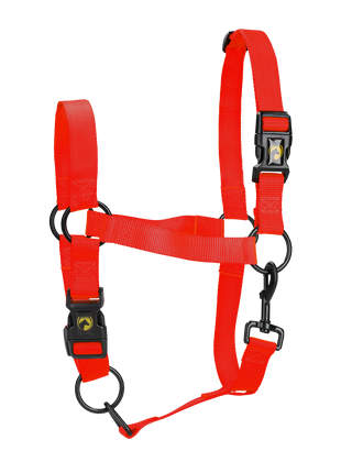 Excellent Essential Halster Rood