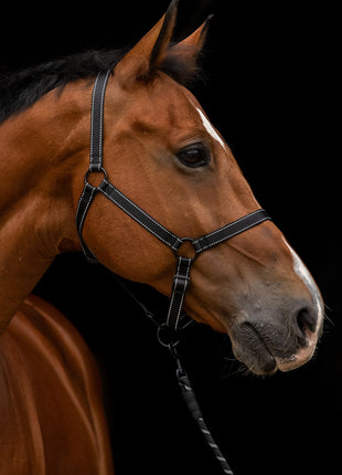 Excellent Premium Halster Zwart