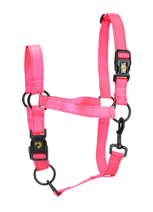 Excellent Premium Halster Roze