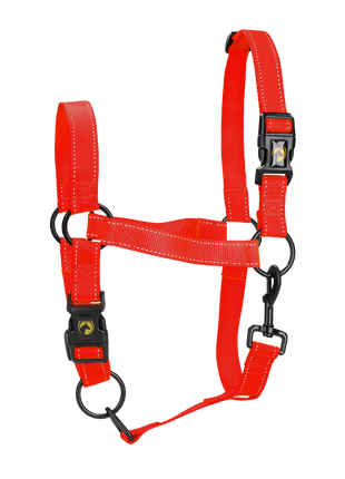 Excellent Premium Halster Rood