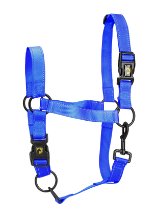 Excellent Premium Halster Blauw