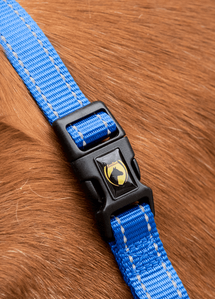 Excellent Superior Halster Blauw