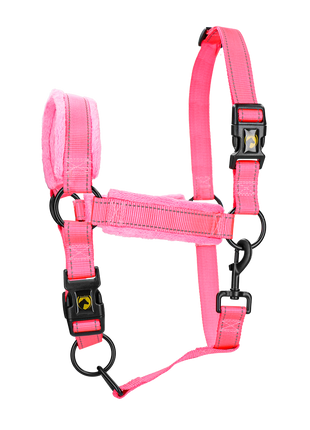 Excellent Superior Halster Roze