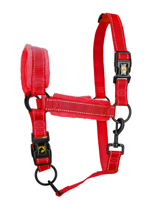 Excellent Superior Halster Rood