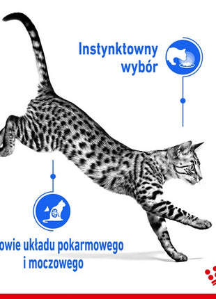 Royal Canin Indoor Sterilised Jelly karma mokra dla kotów dorosłych sterylizowanych, przebywających w domu saszetka 85g