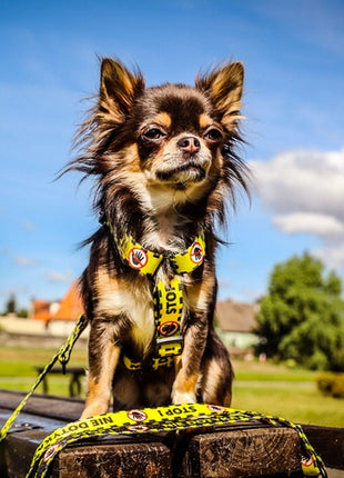 Dingo Szelki dwupaskowe Guard City - Nie Dotykaj rozmiar M
