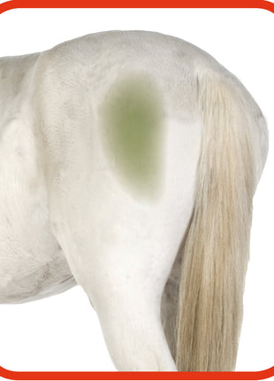 Excellent Horse Hi Gloss Clean Spray 500 ml