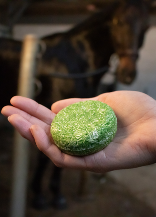 Excellent Horse Hi Gloss Shampoo Bar Aloe Vera 60 g