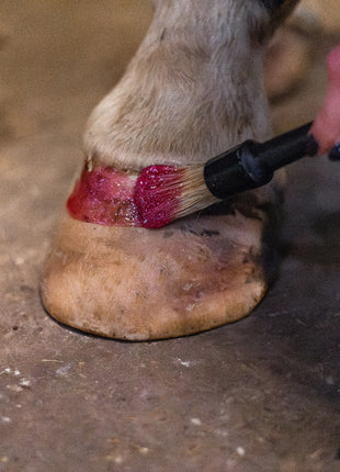 Excellent Horse Hi Gloss Glitter Hoof Polish Pink 150 ml