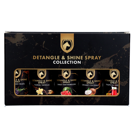 Detangle & Shine Spray Geschenkset 5 x 50 ML
