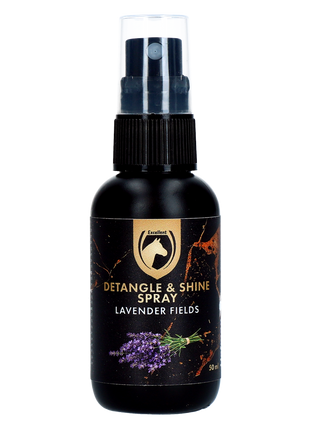 Detangle & Shine Spray Geschenkset 5 x 50 ML