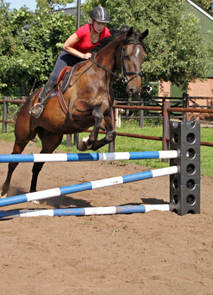 Excellent Horse Cube