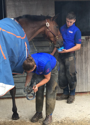 Horslyx Mini Mobiliteit