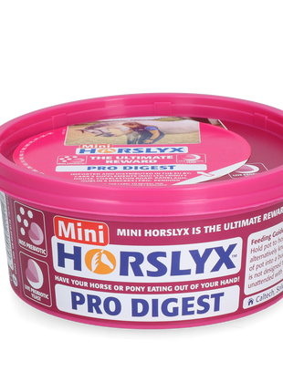 Horslyx Mini Spijsvertering
