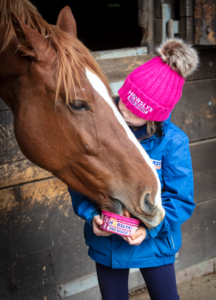 Horslyx Mini Spijsvertering
