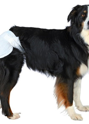 Trixie Pieluchy/Majtki dla suki 12szt/op  XS-S  [23631]