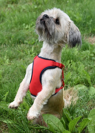 Dingo Szelki bezuciskowe z dwupaskową regulacją M czerwone
