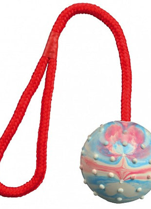 Trixie Piłka gumowa na sznurku 6/30cm [3305]